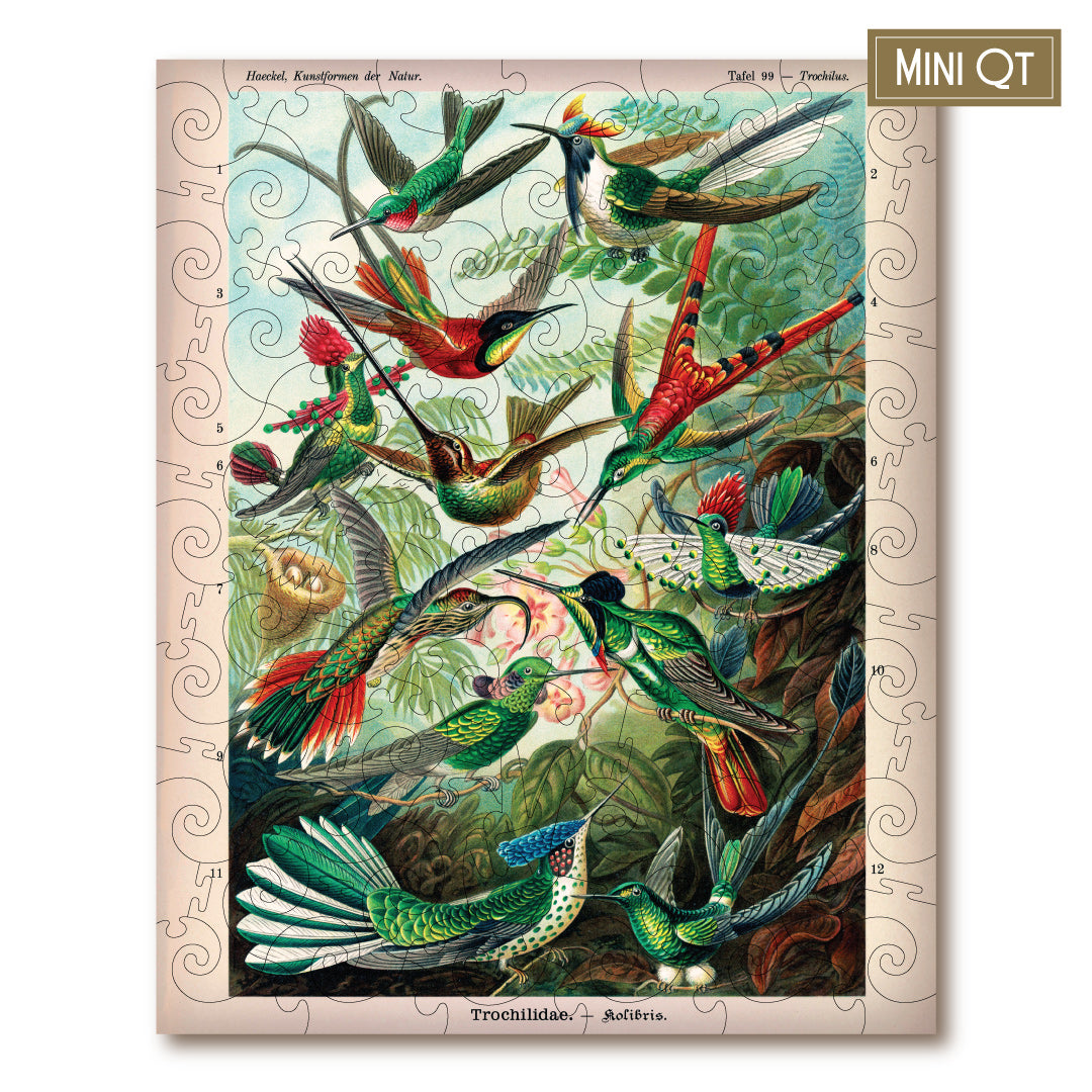 Hummingbirds MINI QT