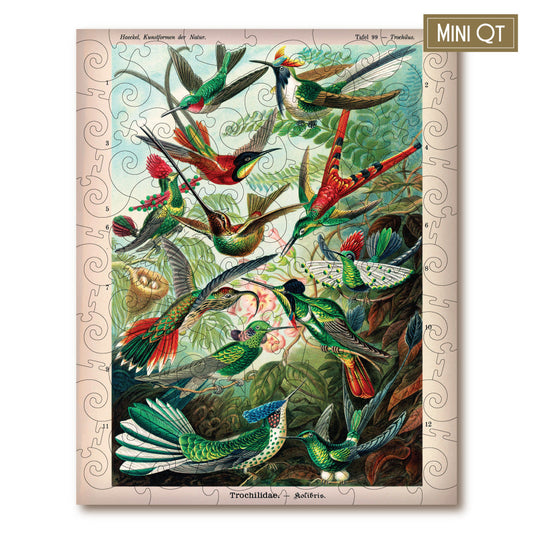 Hummingbirds MINI QT