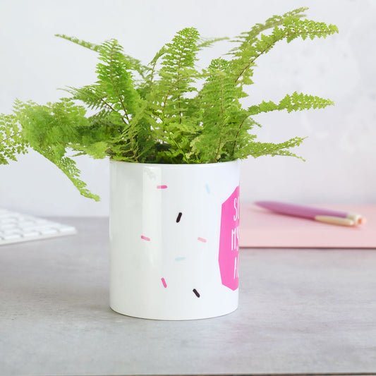 Soiled Myself Again Plant Pot