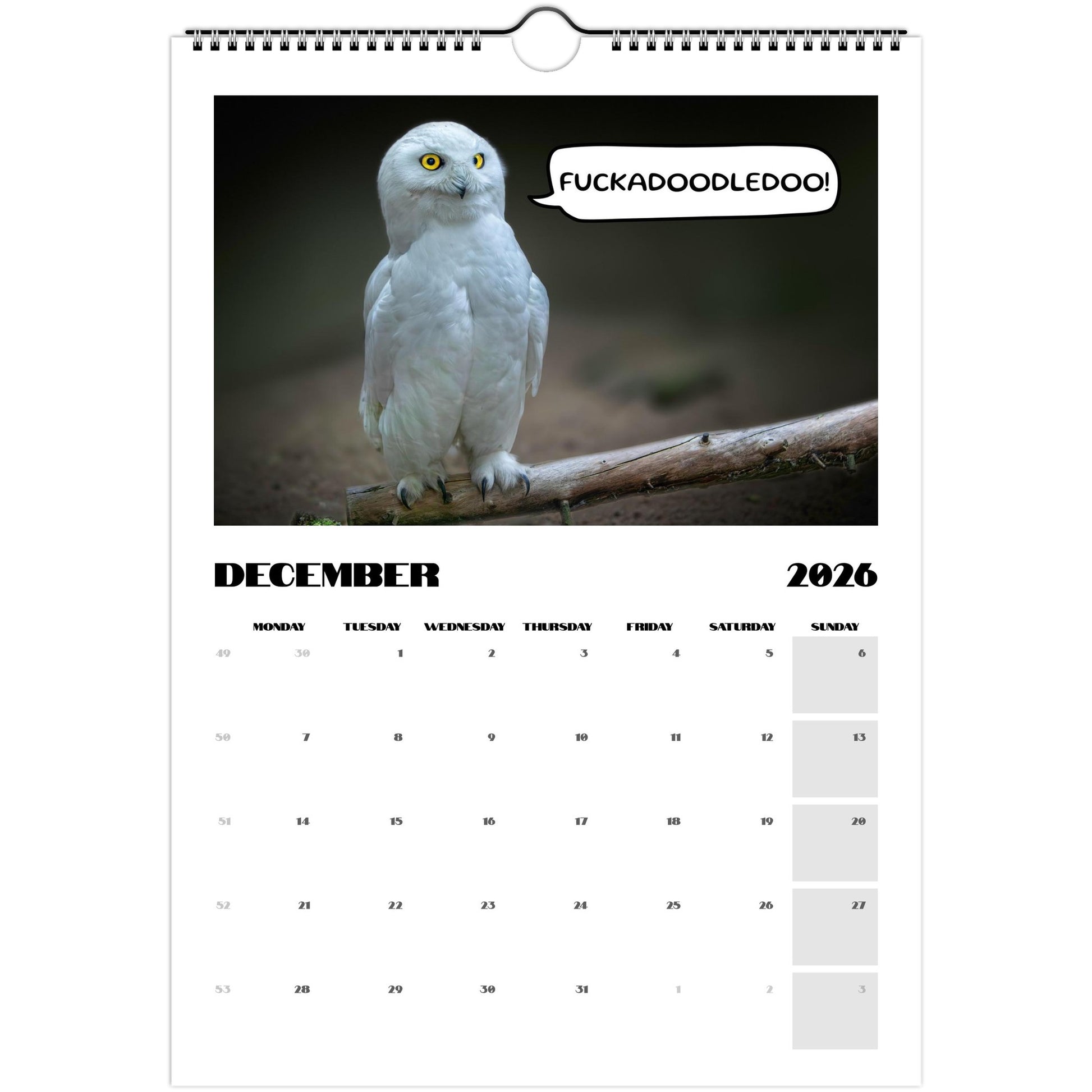 aa6afb06-7540-44ca-bf91-92629b8e4639