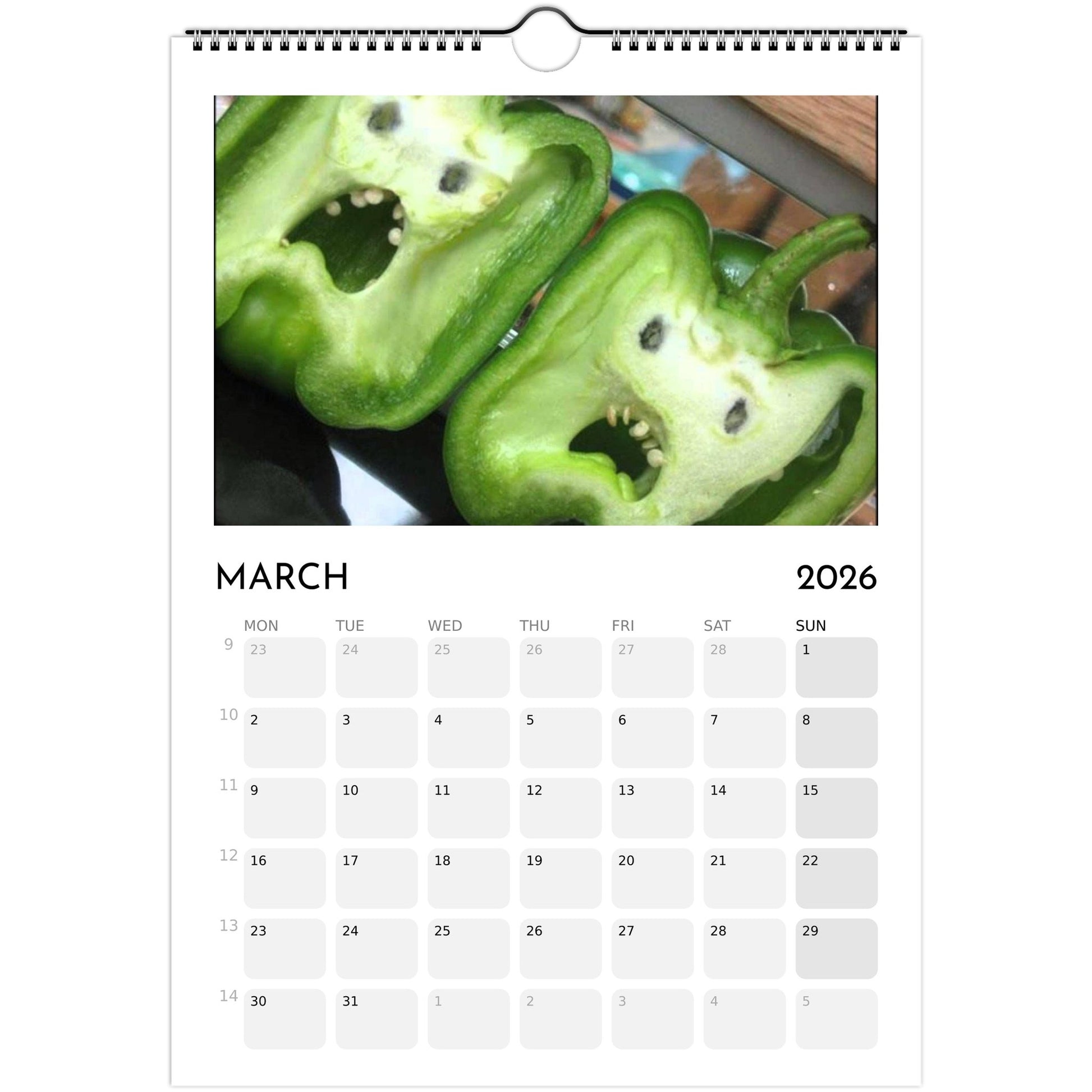 d59e66d0-faf2-4946-b36f-f16b9b48c0f1