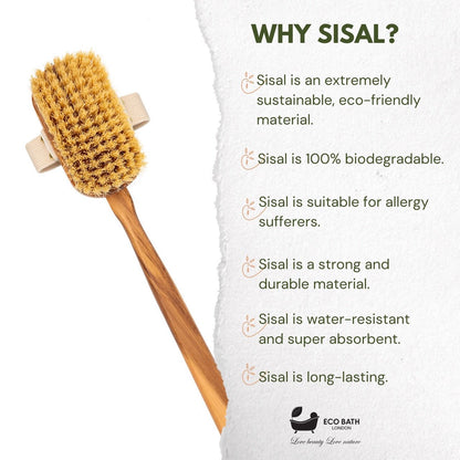 Eco Bath London Luxury Natural Sisal Olive Wood Body Brush - The Ultimate Dry Brushing Body Brush