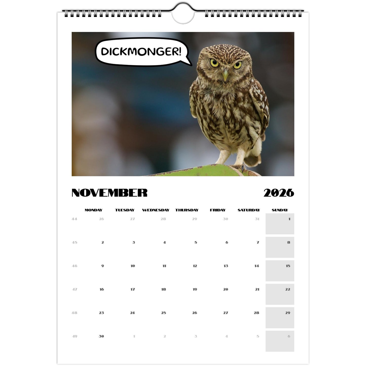 f5e4726c-4a13-4051-aea6-72af83aacac8