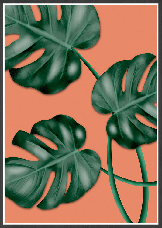 Monstera Orange Botanical Illustration Print