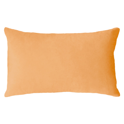 Scorpio Season Needlepoint Cushion