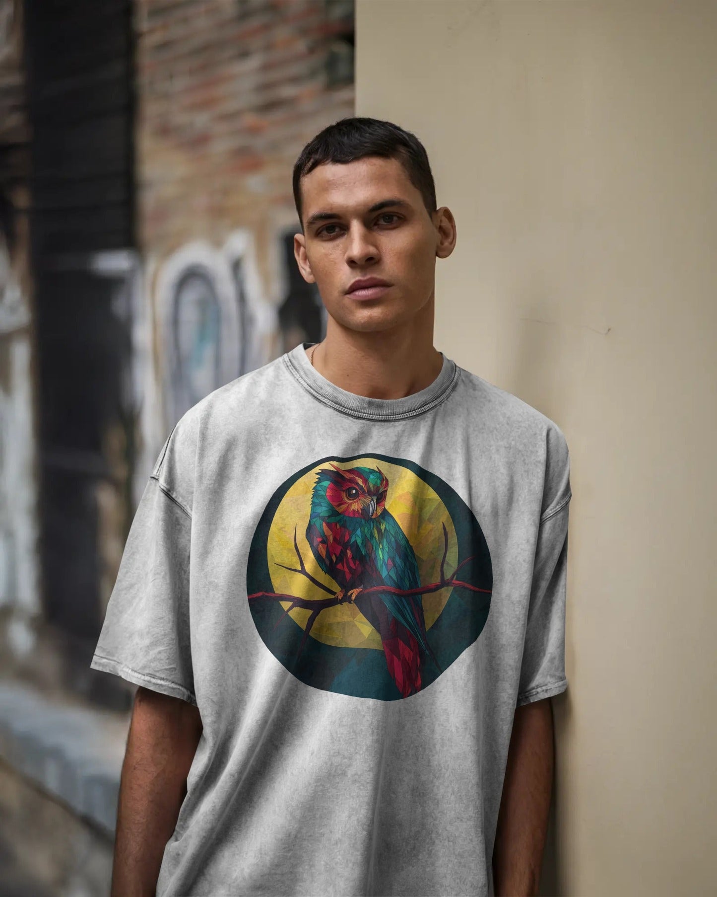 Geo Owl (Heavy Faded Tee)