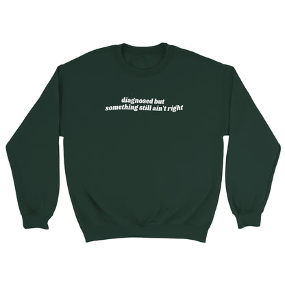 Diagnosed But Something Still Ain’t Right embroidered sweatshirt