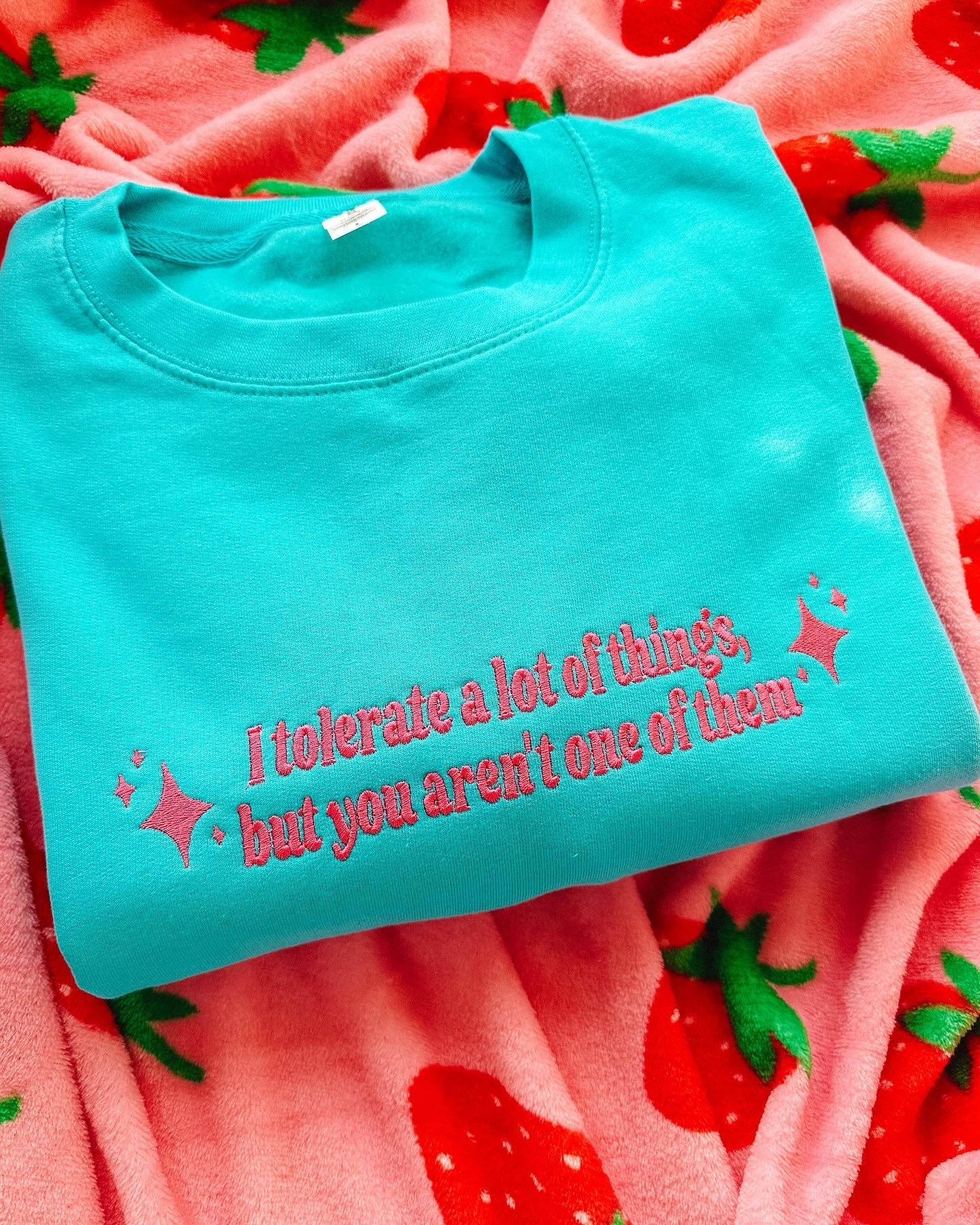I Tolerate A Lot Of Things, But You Aren't One Of Them embroidered sweatshirt