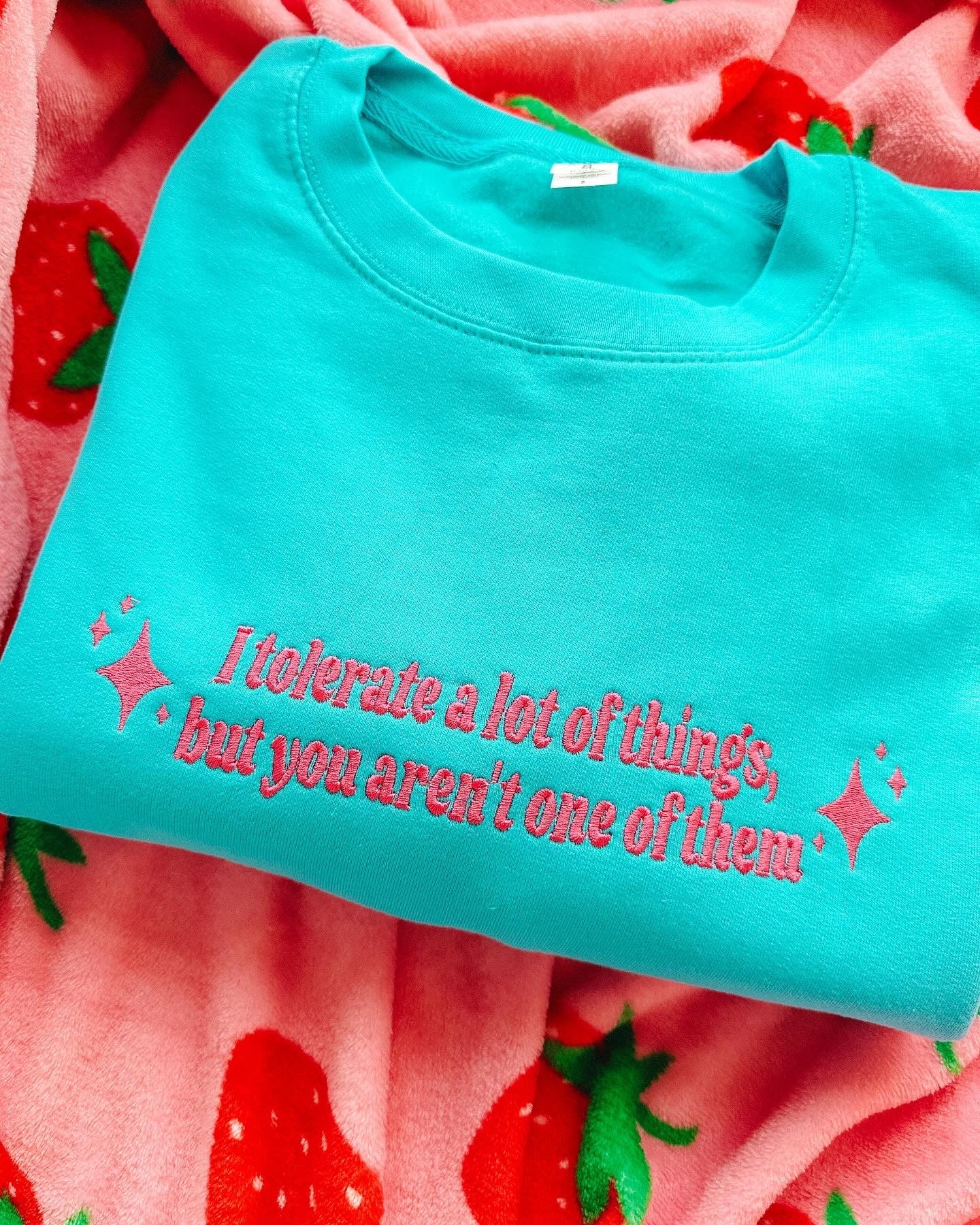 I Tolerate A Lot Of Things, But You Aren't One Of Them embroidered sweatshirt