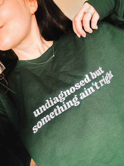 Undiagnosed But Something Ain’t Right embroidered sweatshirt