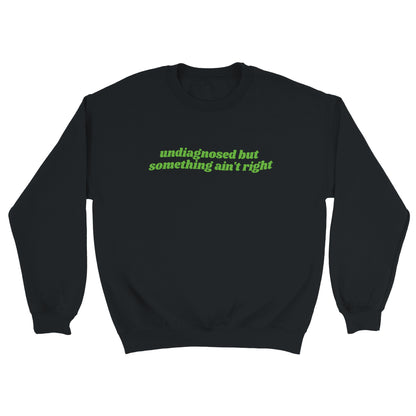 Undiagnosed But Something Ain’t Right embroidered sweatshirt