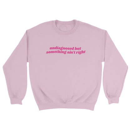 Undiagnosed But Something Ain’t Right embroidered sweatshirt