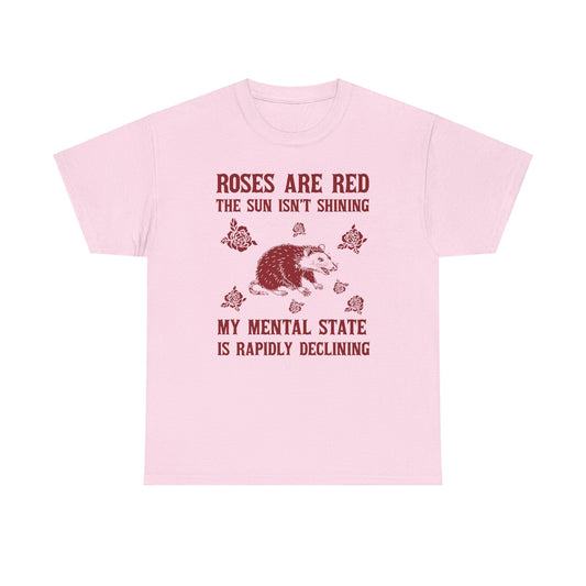 My Mental State Is Rapidly Declining printed tee