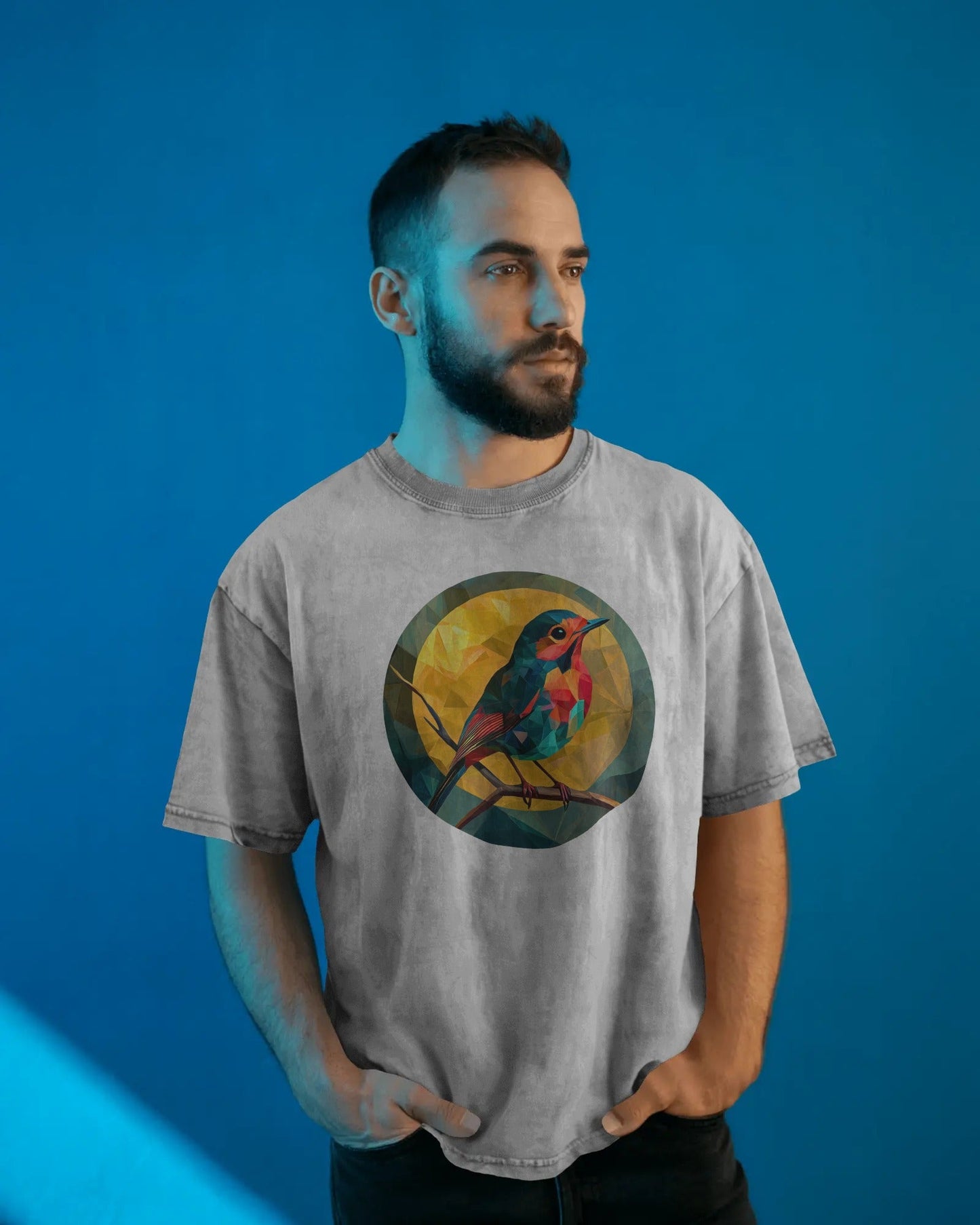 Geo Robin (Heavy Faded Tee)