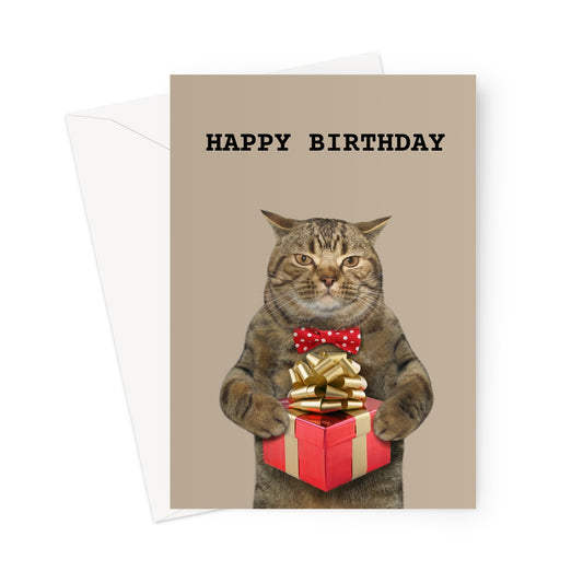 Birthday Card: Cat with present