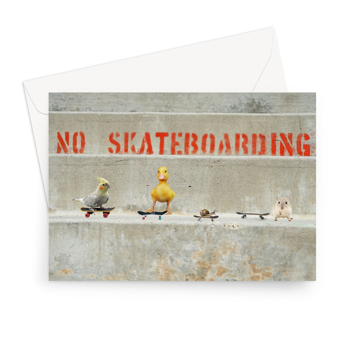 No Skateboarding Card